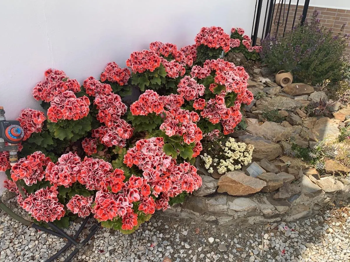 Casa Anhelando Andalucia - Een 8P Villa Met Verwarmd Zwembad Op Een Heuveltop Met Magnifiek Uitzicht, Waaronder Zeezicht, Nabij Dorp En Strand Iznate 0*,
